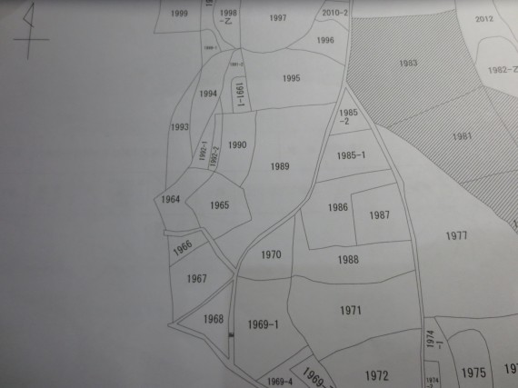 不動産の売買　テーマ「公図」