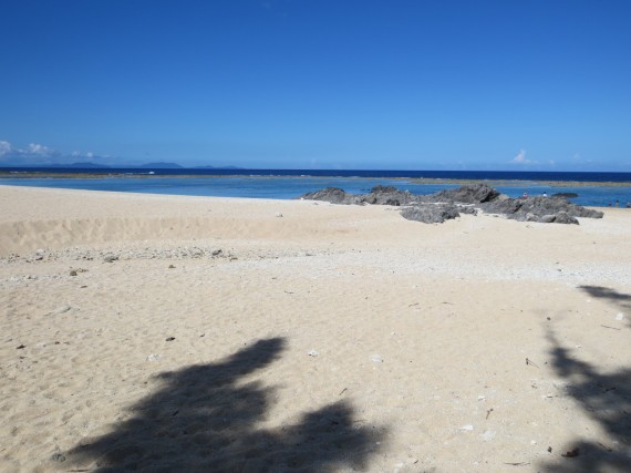 徳之島・沖永良部・奄美大島　　相続登記