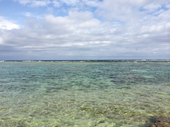 徳之島のらっきょう漬け～島の心