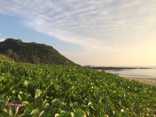 ブンピツ？徳之島の相続