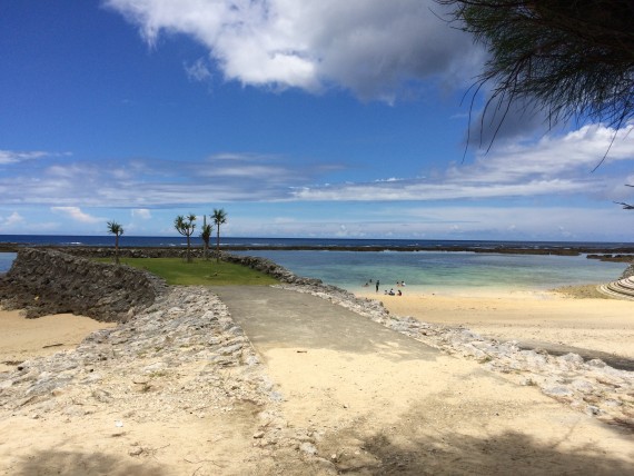 子宝のシマ・徳之島