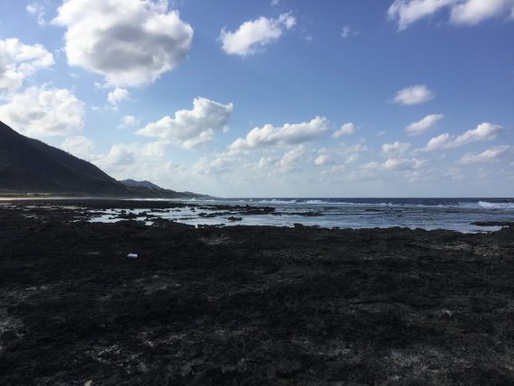 東京を目指したワケ，徳之島へ移住したワケ