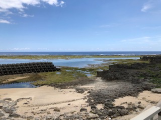 離島メシ・沖永良部島編